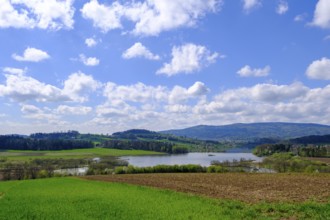 Drachensee, Furth im Wald, Bavarian Forest, Upper Palatinate, Bavaria, Germany