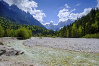Pisnica stream at Jasna Lake in Triglav National Park, Kranjska Gora, Upper Carniola, Julian Alps,