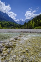 Pisnica stream at Jasna Lake in Triglav National Park, Kranjska Gora, Upper Carniola, Julian Alps,