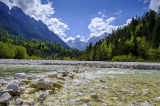 Pisnica stream at Jasna Lake in Triglav National Park, Kranjska Gora, Upper Carniola, Julian Alps,