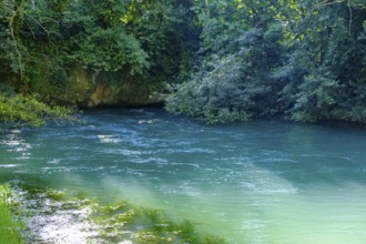Bocche del Timavo, karst spring, San Giovanni di Duino, near Duino, Friuli-Venezia Giulia, Italy