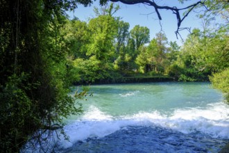 Bocche del Timavo, karst spring, San Giovanni di Duino, near Duino, Friuli-Venezia Giulia, Italy