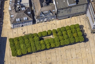 Aerial view, tree avenue at the town hall and town hall square, city, Lüdenscheid city,