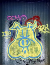 Graffiti as a pig's head on a shop gate in the old town centre of Girona, Cataluña, Gerona,