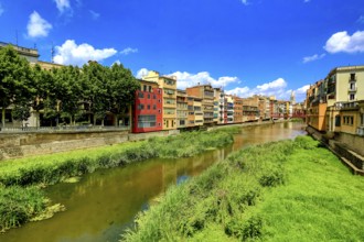 Colourful facades over the river Onyar, Girona, Cataluña, Gerona, Catalonia, Spain, Cataluña,