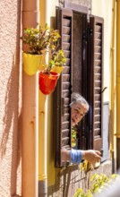 Sardinia, inhabitant looking out of a window, Bosa, Europe, Province of Oristano, Italy, everyday