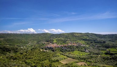Sardinia, Village view and houses surrounded by meadows and fields, blue sky with clouds, Modolo,