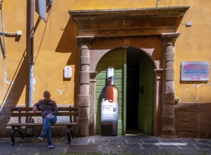 Sardinia, house with picturesque door and wine bottle poster, Bosa, Europe, Province of Oristano,