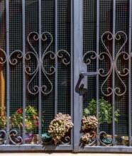 Sardinia, windows with iron door decorations and plants, Bosa, Europe, Province of Oristano, Italy,