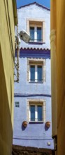 Sardinia, alley with house and row of windows, Bosa, Europe, Oristano province, Italy, old town,