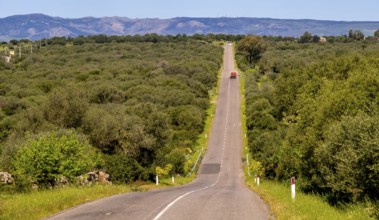 Sardinia, red truck on straight road to the horizon, mountains mountain range in the background,