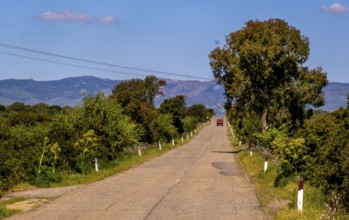 Sardinia, Red truck on straight road to the horizon, mountains mountain range in the background,