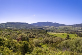 Sardinia, wide landscape meadows and fields, with mountains in the background, blue sky,