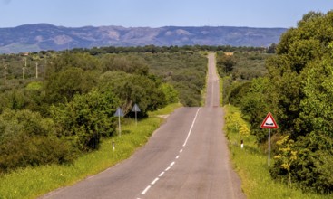 Sardinia, Straight road to the horizon, Paulilatino, Europe, Province of Oristano, Italy,