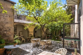 Sardinia, tree in a courtyard of a restaurant, Santu Lussurgiu, Europe, Province of Oristano,