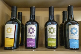 Four bottles of Anima Sarda beer in four different flavours, Santu Lussurgiu, Europe, Province of