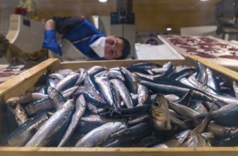 Sardinia, street market and fish market, Alghero, Europe, province of Sassari, Italy, ambience,