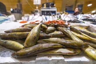 Sardinia, street market and fish market, Alghero, Europe, province of Sassari, Italy, architecture,
