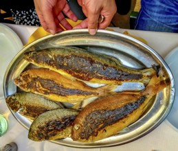 Sardinia, fish menu, fried fish served on a tray, Alghero, Europe, province of Sassari, Italy,
