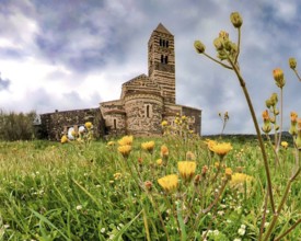 Sardinia, The Abbey Church of Santissima TrinitÃƒÂ di Saccargia, Romanesque church, flower meadow,