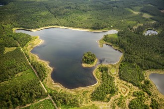 Lakeland, Pomerania, reflection, wooded island, ChoÅ'nica, Baltic Sea coast, pomorskie, Poland,