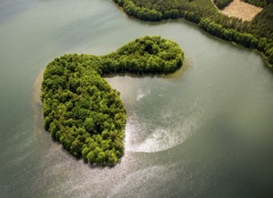 Lakeland, Pomerania, reflection, forested island, Åupawsko, Baltic Sea coast, pomorskie, Poland,