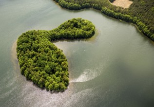 Lakeland, Pomerania, reflection, forested island, Åupawsko, Baltic Sea coast, pomorskie, Poland,