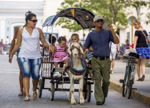 &lt, children's amusement, children's carriage pulled by a goat, streetlife in the city centre of