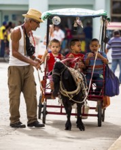 &lt, children's amusement, children's carriage pulled by a goat, streetlife in the city centre of
