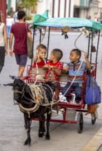 &lt, children's amusement, children's carriage pulled by a goat, streetlife in the city centre of