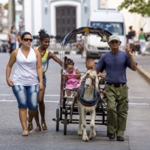 &lt, children's amusement, children's carriage pulled by a goat, streetlife in the city centre of