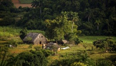 Farmhouse, farm cottage, barn for drying tobacco leaves, tobacco fields and the mountains of the