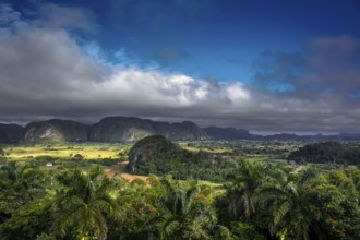 Tobacco fields and the mountains of the Mogotes, Viñales valley with karst mountains, Viñales,