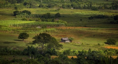 Farmhouse, farm cottage, barn for drying tobacco leaves, tobacco fields and the mountains of the
