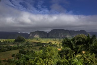 Tobacco fields and the mountains of the Mogotes, Viñales valley with karst mountains, Viñales,