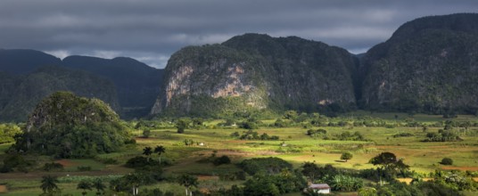 Tobacco fields and the mountains of the Mogotes, Viñales valley with karst mountains, Viñales,