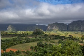 Tobacco fields and the mountains of the Mogotes, Viñales valley with karst mountains, Viñales,