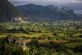 Tobacco fields and the mountains of the Mogotes, Viñales valley with karst mountains, Viñales,