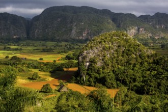 Farmhouse, farm cottage, barn for drying tobacco leaves, tobacco fields and the mountains of the