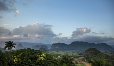 Tobacco fields and the mountains of the Mogotes, Viñales valley with karst mountains, Viñales,