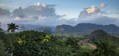 Tobacco fields and the mountains of the Mogotes, Viñales valley with karst mountains, Viñales,