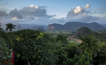 Tobacco fields and the mountains of the Mogotes, Viñales valley with karst mountains, Viñales,