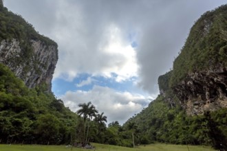 Caves, Cuevos del Indio in the Vinales Valley, Viñales, Cuba, Pinar del Río, Cuba