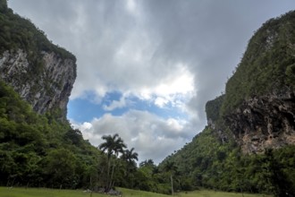 Caves, Cuevos del Indio in the Vinales Valley, Viñales, Cuba, Pinar del Río, Cuba