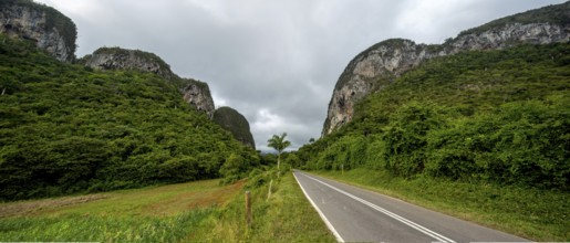 Country road with central reservation in the Vinales Valley, Viñales, Cuba, Pinar del Río, Cuba