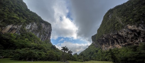 Caves, Cuevos del Indio in the Vinales Valley, Viñales, Cuba, Pinar del Río, Cuba