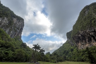Caves, Cuevos del Indio in the Vinales Valley, Viñales, Cuba, Pinar del Río, Cuba