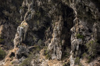 Karst mountain in the Vinales Valley, Viñales, Cuba, Pinar del Río