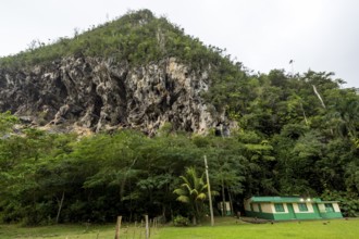 Karst mountain in the Vinales Valley, Viñales, Cuba, Pinar del Río