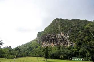 Karst mountain in the Vinales Valley, Viñales, Cuba, Pinar del Río
